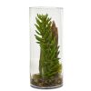 Nearly Natural 8459 Succulent and Sedum Artificial Plant in Cylinder Vase