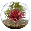 Nearly Natural 8589 Mixed Succulent Artificial Plant in Round Glass Vase