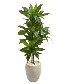 4’ Dracaena Artificial Plant in Sand Colored Planter (Real Touch)