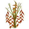 Nearly Natural 1956 Hanging Heliconia Artificial Arrangement in Cylinder Vase