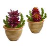 Nearly Natural 8454-S2 Succulent Artificial Plant in Ceramic Planter (Set of 2)